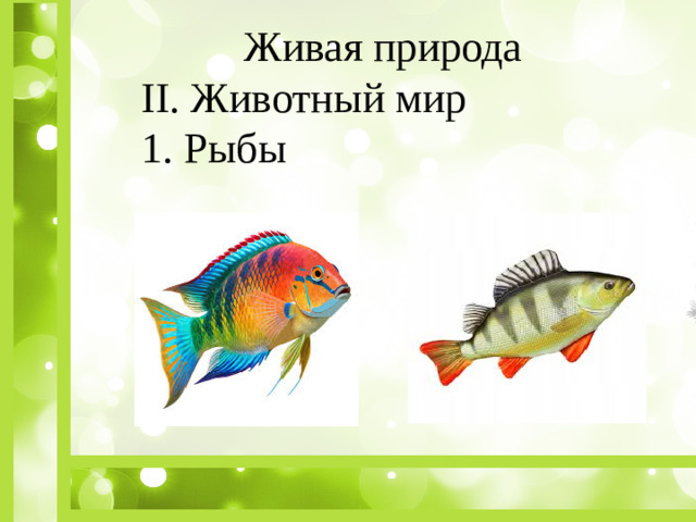 Живая природа II. Животный мир 1. Рыбы