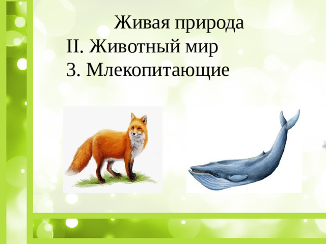 Живая природа II. Животный мир 3. Млекопитающие