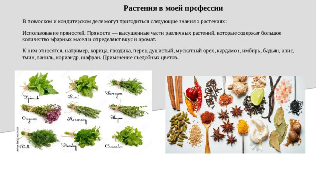Растения в моей профессии В поварском и кондитерском деле могут пригодиться следующие знания о растениях: Использование пряностей. Пряности — высушенные части различных растений, которые содержат большое количество эфирных масел и определяют вкус и аромат. К ним относятся, например, корица, гвоздика, перец душистый, мускатный орех, кардамон, имбирь, бадьян, анис, тмин, ваниль, кориандр, шафран. Применение съедобных цветов.