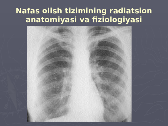 Nafas olish tizimining radiatsion anatomiyasi va fiziologiyasi