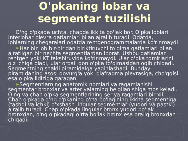 O'pkaning lobar va segmentar tuzilishi O'ng o'pkada uchta, chapda ikkita bo'lak bor. O'pka loblari interlobar plevra qatlamlari bilan ajralib turadi. Odatda, loblarning chegaralari odatda rentgenogrammalarda ko'rinmaydi.