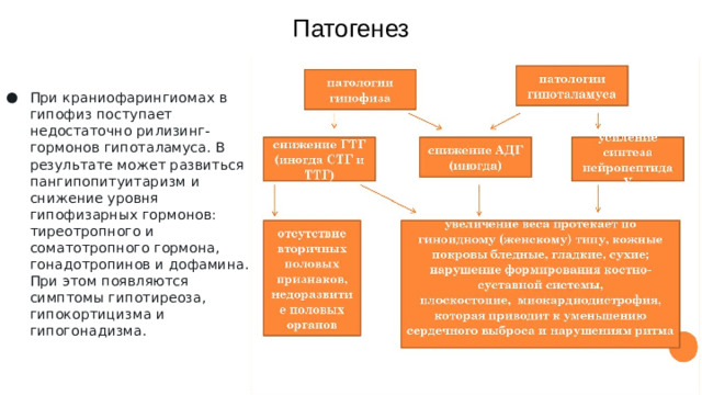 Патогенез