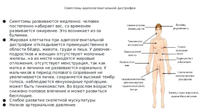 Симптомы адипозогенитальной дистрофии