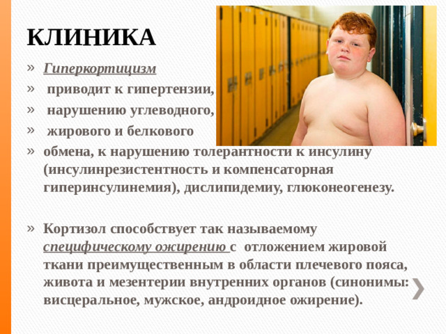 КЛИНИКА Гиперкортицизм  приводит к гипертензии,  нарушению углеводного,  жирового и белкового обмена, к нарушению толерантности к инсулину (инсулинрезистентность и компенсаторная гиперинсулинемия), дислипидемиу, глюконеогенезу.