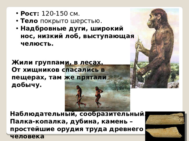 Рост: 120-150 см. Тело покрыто шерстью. Надбровные дуги, широкий нос, низкий лоб, выступающая челюсть.