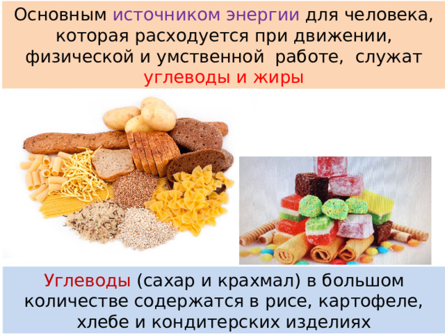 Основным источником энергии для человека, которая расходуется при движении, физической и умственной работе, служат углеводы и жиры Углеводы (сахар и крахмал) в большом количестве содержатся в рисе, картофеле, хлебе и кондитерских изделиях