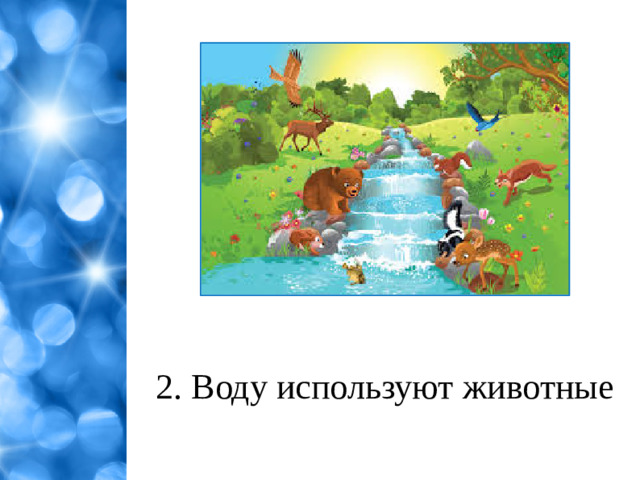 2. Воду используют животные