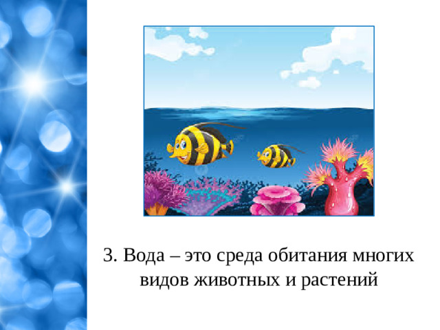 3. Вода – это среда обитания многих видов животных и растений