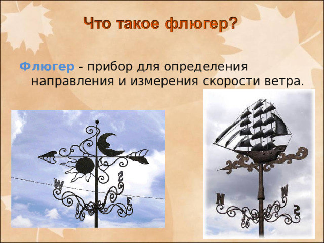 Флюгер - прибор для определения направления и измерения скорости ветра.
