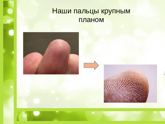 Наши пальцы крупным планом