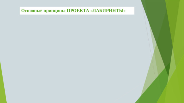 Основные принципы ПРОЕКТА «ЛАБИРИНТЫ»
