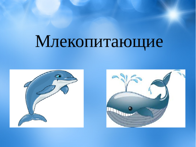 Млекопитающие