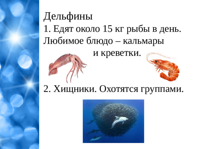 Дельфины 1. Едят около 15 кг рыбы в день. Любимое блюдо – кальмары  и креветки. 2. Хищники. Охотятся группами.
