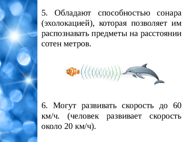 5. Обладают способностью сонара (эхолокацией), которая позволяет им распознавать предметы на расстоянии сотен метров. 6. Могут развивать скорость до 60 км/ч. (человек развивает скорость около 20 км/ч).