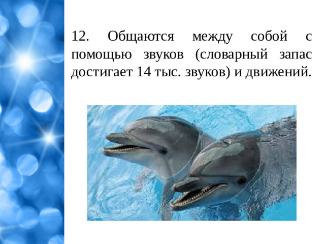 12. Общаются между собой с помощью звуков (словарный запас достигает 14 тыс. звуков) и движений.
