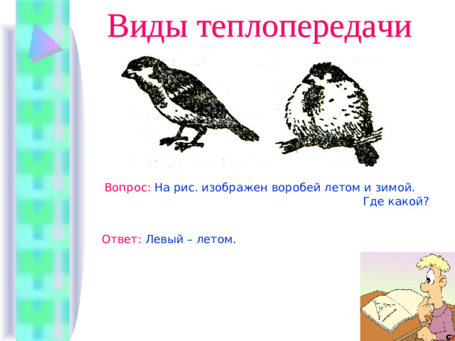 Виды теплопередачи Вопрос :  На рис. изображен воробей летом и зимой.  Где какой? Ответ :  Левый – летом.