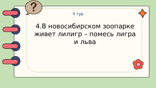 II тур 4.В новосибирском зоопарке живет лилигр – помесь лигра и льва