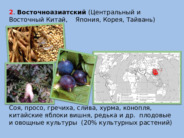 2 . Восточноазиатский (Центральный и Восточный Китай, Япония, Корея, Тайвань) Соя, просо, гречиха, слива, хурма, конопля, китайские яблоки вишня, редька и др. плодовые и овощные культуры (20% культурных растений)