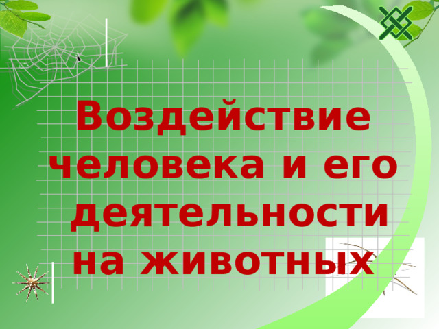 Воздействие человека и его  деятельности на животных