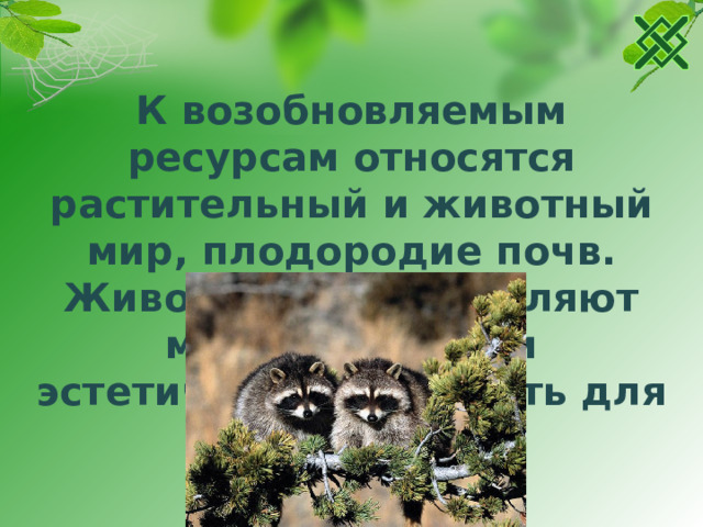 К возобновляемым ресурсам относятся растительный и животный мир, плодородие почв. Животные представляют материальную и эстетическую ценность для человека.