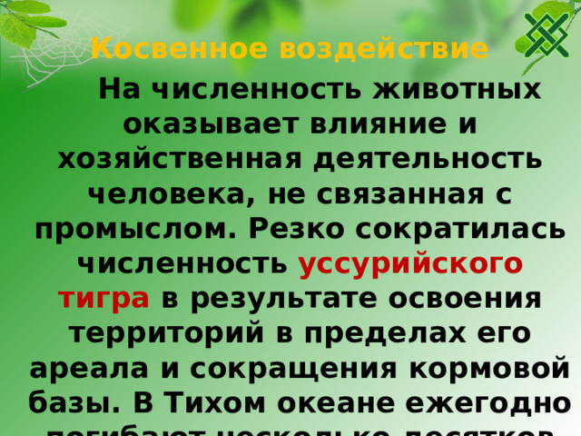 Косвенное воздействие  На численность животных оказывает влияние и хозяйственная деятельность человека, не связанная с промыслом. Резко сократилась численность уссурийского тигра в результате освоения территорий в пределах его ареала и сокращения кормовой базы. В Тихом океане ежегодно погибают несколько десятков тысяч дельфинов : в период лова рыбы они попадают в сети и не могут выбраться.