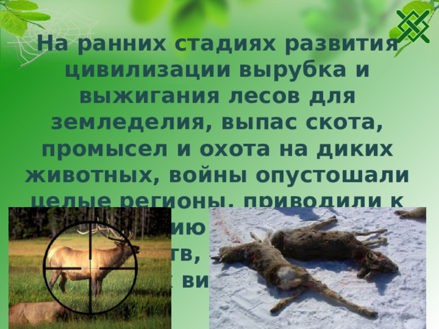 На ранних стадиях развития цивилизации вырубка и выжигания лесов для земледелия, выпас скота, промысел и охота на диких животных, войны опустошали целые регионы, приводили к разрушению растительных сообществ, истреблению отдельных видов животных.