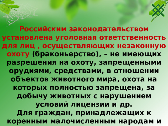 Российским законодательством установлена уголовная ответственность для лиц , осуществляющих незаконную охоту (браконьерство), – не имеющих разрешения на охоту, запрещенными орудиями, средствами, в отношении объектов животного мира, охота на которых полностью запрещена, за добычу животных с нарушением условий лицензии и др. Для граждан, принадлежащих к коренным малочисленным народам и этническим общностям, их объединениям, чье существование и доходы основаны на традиционных системах жизнеобеспечения их предков, устанавливаются специальные правила в отношении прав на охоту. 22