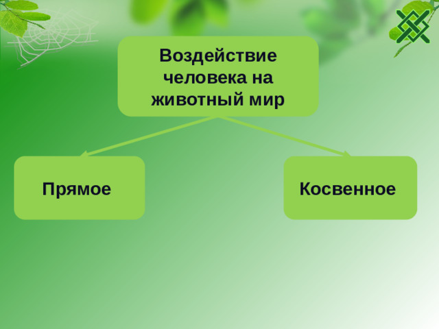 Воздействие человека на животный мир Косвенное Прямое