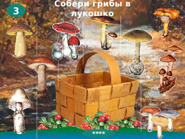 Собери грибы в лукошко 3 ****