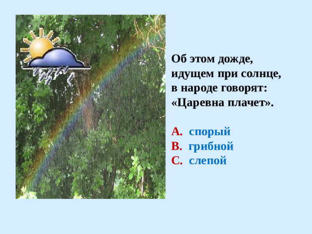 Об этом дожде, идущем при солнце, в народе говорят: «Царевна плачет».  А. спорый В.  грибной С.  слепой