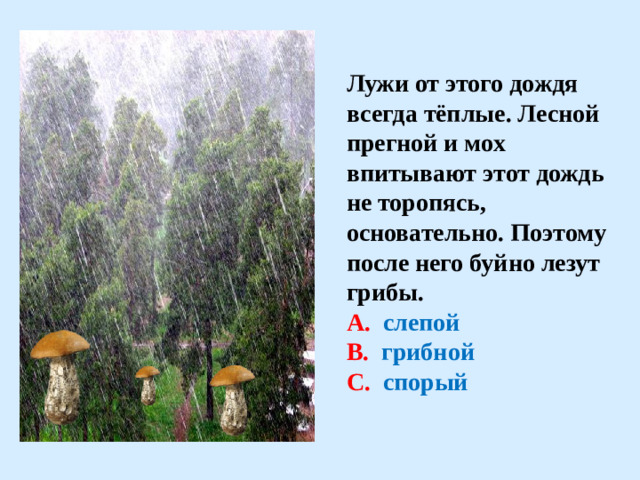 Лужи от этого дождя всегда тёплые. Лесной прегной и мох впитывают этот дождь не торопясь, основательно. Поэтому после него буйно лезут грибы. А. слепой В. грибной С. спорый