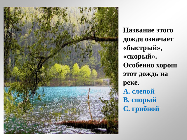 Название этого дождя означает «быстрый», «скорый». Особенно хорош этот дождь на реке. А. слепой В. спорый С. грибной