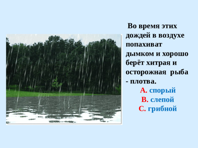 Во время этих дождей в воздухе попахиват дымком и хорошо берёт хитрая и осторожная рыба - плотва. А.  спорый В. слепой С. грибной