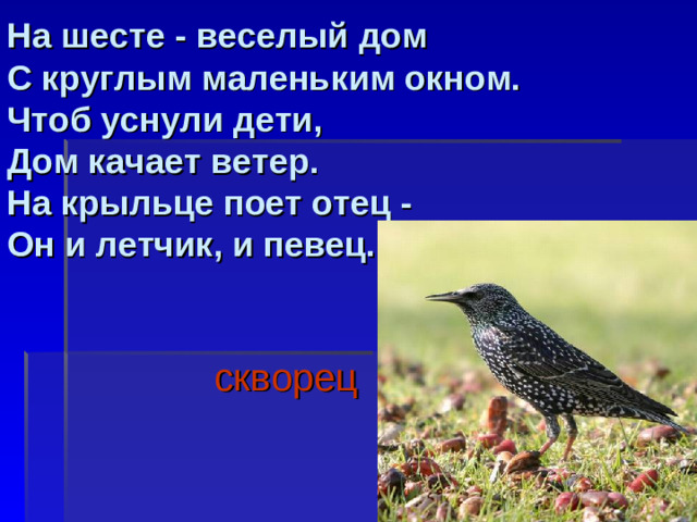 На шесте - веселый дом  С круглым маленьким окном.  Чтоб уснули дети,  Дом качает ветер.  На крыльце поет отец -  Он и летчик, и певец.     скворец