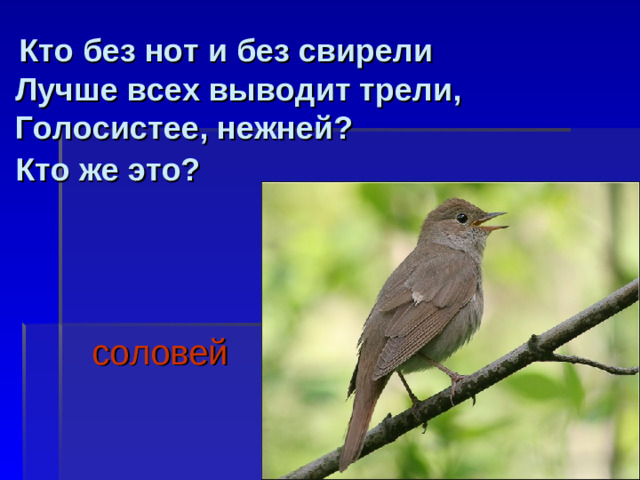 Кто без нот и без свирели  Лучше всех выводит трели,  Голосистее, нежней?  Кто же это?   соловей