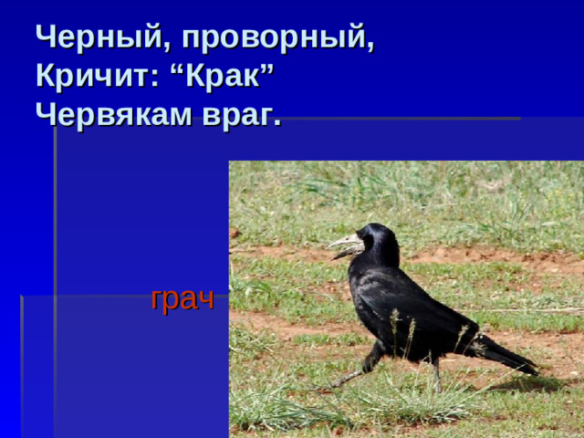 Черный, проворный,  Кричит: “Крак”  Червякам враг.     грач