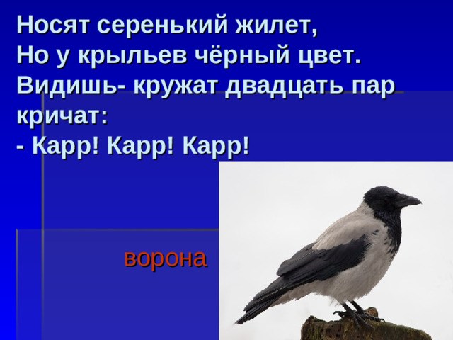 Носят серенький жилет,  Но у крыльев чёрный цвет.  Видишь- кружат двадцать пар кричат:  - Карр! Карр! Карр!     ворона