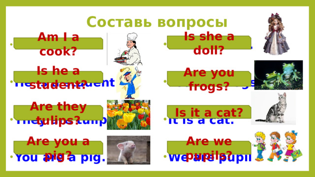 Составь вопросы Is she a doll? She is a doll.  I am a cook.   He is a student. You are frogs.   They are tulips. It is a cat.   You are a pig. We are pupils.  Am I a cook? Is he a student? Are you frogs? Are they tulips? Is it a cat? Are you a pig? Are we pupils?
