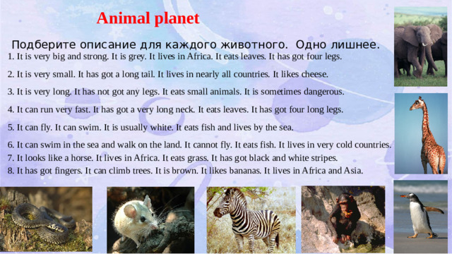 Animal planet  Подберите описание для каждого животного. Одно лишнее. 1. It is very big and strong. It is grey. It lives in Africa. It eats leaves. It has got four legs. 2. It is very small. It has got a long tail. It lives in nearly all countries. It likes cheese. 3. It is very long. It has not got any legs. It eats small animals. It is sometimes dangerous. 4. It can run very fast. It has got a very long neck. It eats leaves. It has got four long legs. 5. It can fly. It can swim. It is usually white. It eats fish and lives by the sea. 6. It can swim in the sea and walk on the land. It cannot fly. It eats fish. It lives in very cold countries. 7. It looks like a horse. It lives in Africa. It eats grass. It has got black and white stripes. 8. It has got fingers. It can climb trees. It is brown. It likes bananas. It lives in Africa and Asia.
