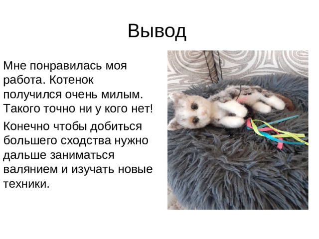 Вывод Мне понравилась моя работа. Котенок получился очень милым. Такого точно ни у кого нет! Конечно чтобы добиться большего сходства нужно дальше заниматься валянием и изучать новые техники.