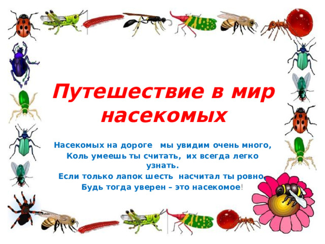 Путешествие в мир насекомых Насекомых на дороге мы увидим очень много, Коль умеешь ты считать, их всегда легко узнать. Если только лапок шесть насчитал ты ровно, Будь тогда уверен – это насекомое !