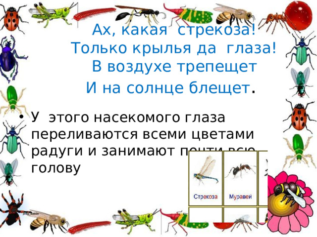 Ах, какая  стрекоза!  Только крылья да  глаза!  В воздухе трепещет  И на солнце блещет .  