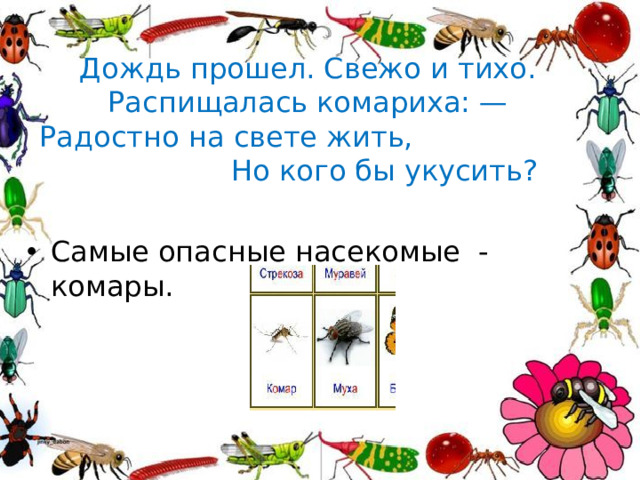 Дождь прошел. Свежо и тихо.  Распищалась комариха: —  Радостно на свете жить, Но кого бы укусить?