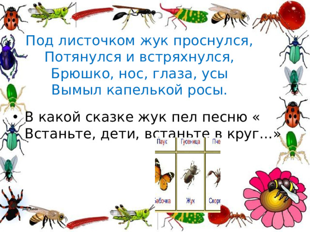 Под листочком жук проснулся,  Потянулся и встряхнулся,  Брюшко, нос, глаза, усы  Вымыл капелькой росы.