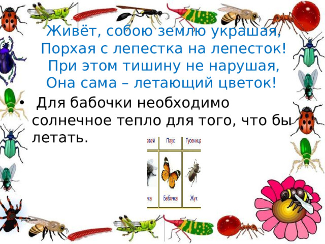 Живёт, собою землю украшая,  Порхая с лепестка на лепесток!  При этом тишину не нарушая,  Она сама – летающий цветок! 