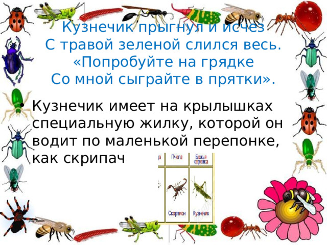 Кузнечик прыгнул и исчез  С травой зеленой слился весь.  «Попробуйте на грядке  Со мной сыграйте в прятки».