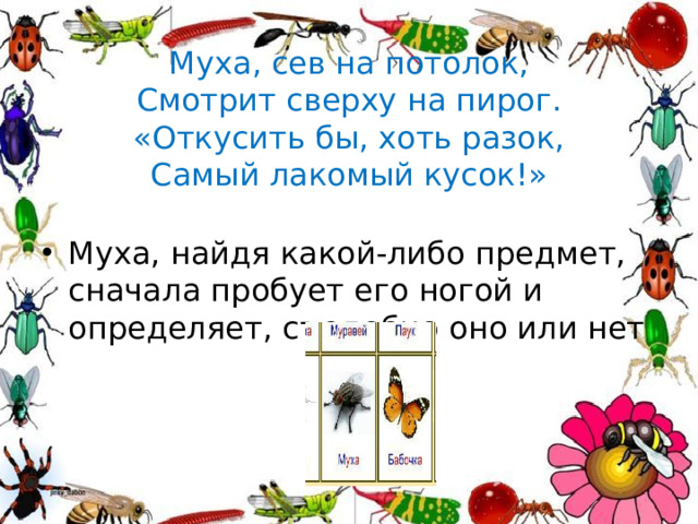 Муха, сев на потолок,  Смотрит сверху на пирог.  «Откусить бы, хоть разок,  Самый лакомый кусок!»
