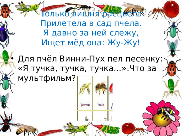Только вишня расцвела  Прилетела в сад пчела.  Я давно за ней слежу,  Ищет мёд она: Жу-Жу!