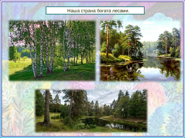 Наша страна богата лесами. Источники: https://comstol.info/wp-content/uploads/2012/05/rus_les.jpeg https://www.photogorky.ru/photos/d0e787c59044891eae0ae7dc66564874.jpg https://img0.liveinternet.ru/images/attach/b/4/102/921/102921462_large_1.jpg Учебник «Изобразительное искусство», 3 класс, И.Э. Кашекова, А. Л.Кашеков