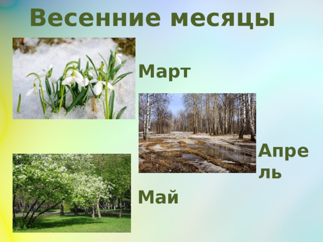 Весенние месяцы Март  Апрель Май